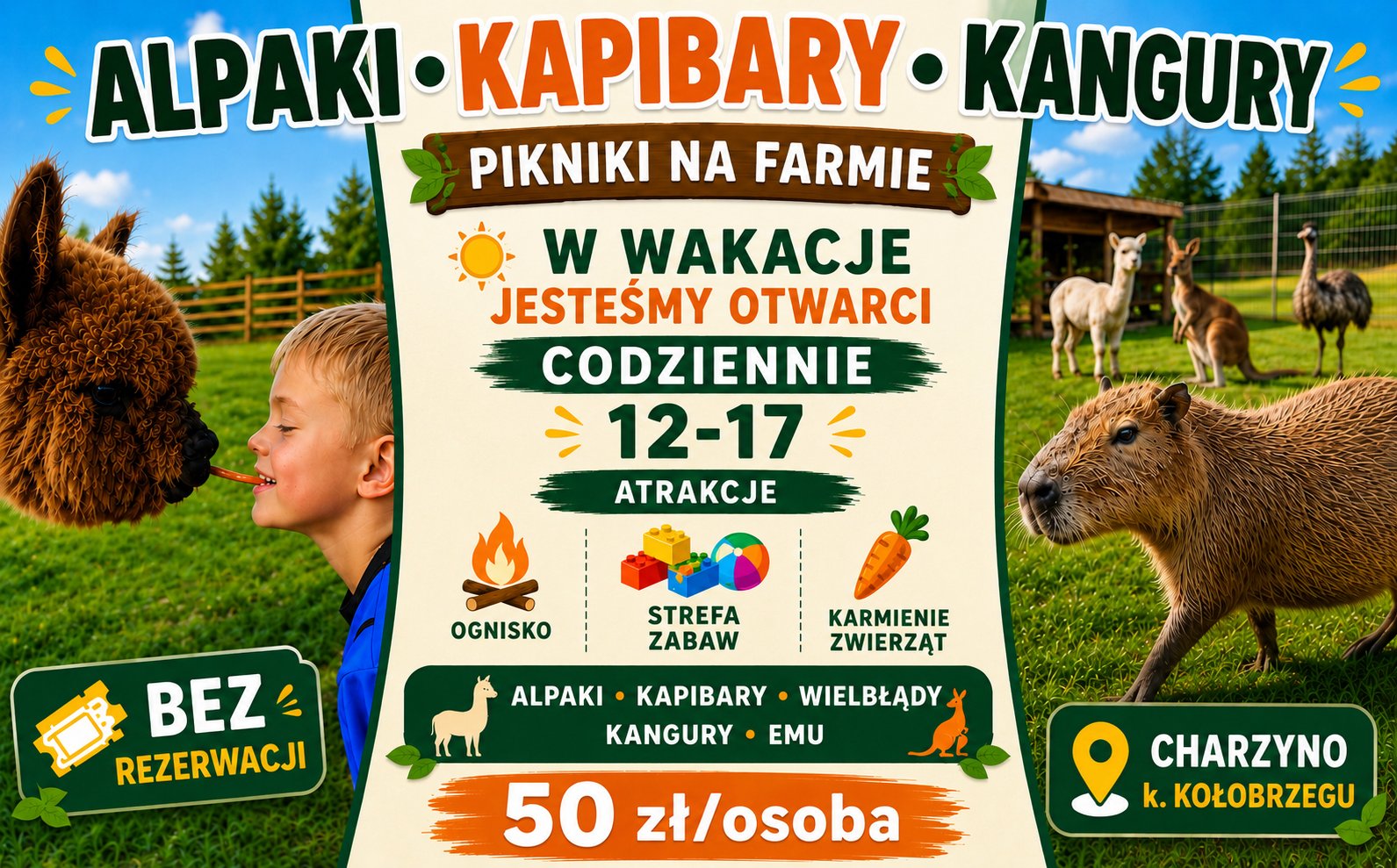 Al Pako - Alpaki Charzyno, Kołobrzeg