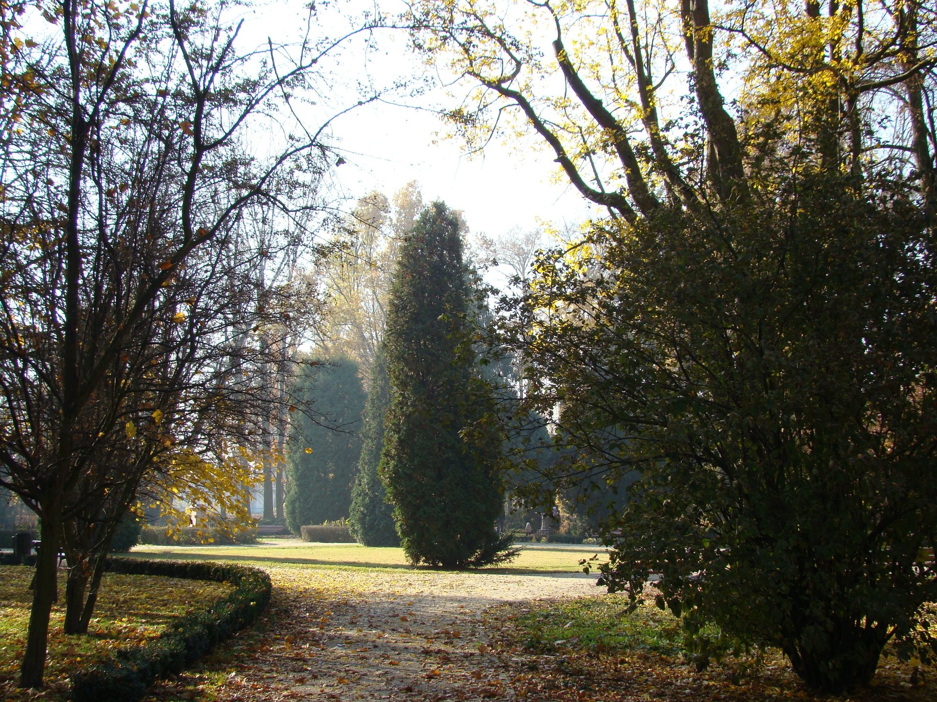 Park Miejski w Kaliszu