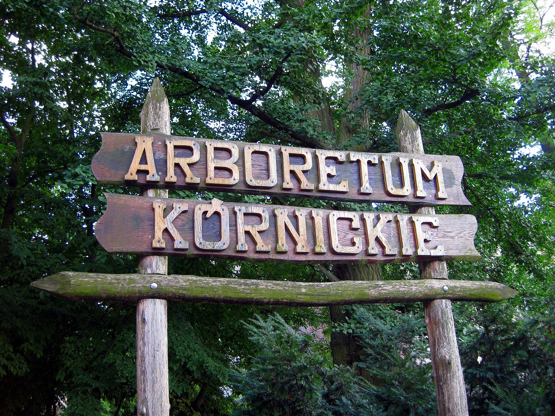 Arboretum Kórnickie