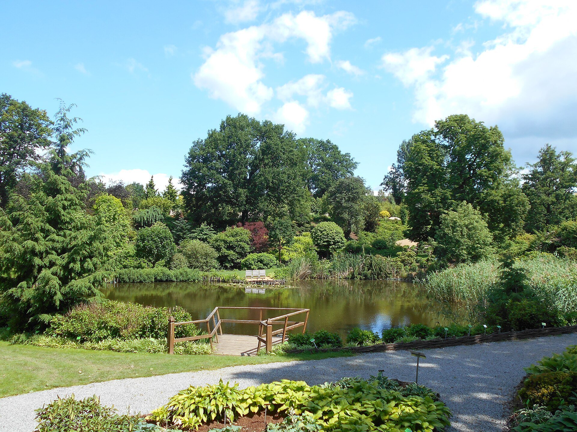 Fot. Salicyna / CC BY-SA 4.0 / Wikimedia Commons