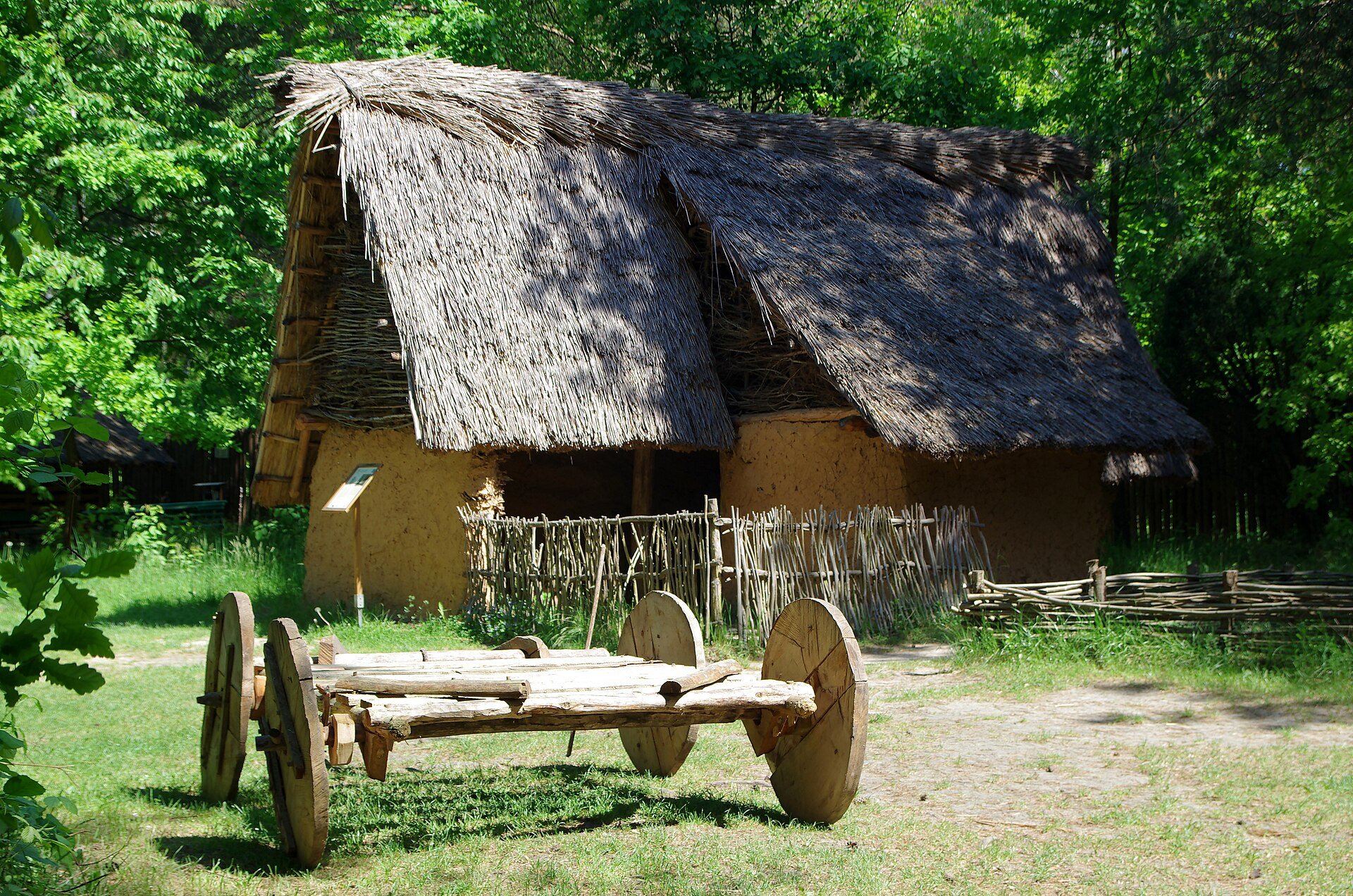 Fot. Jakub Hałun / CC BY-SA 4.0 / Wikimedia Commons
