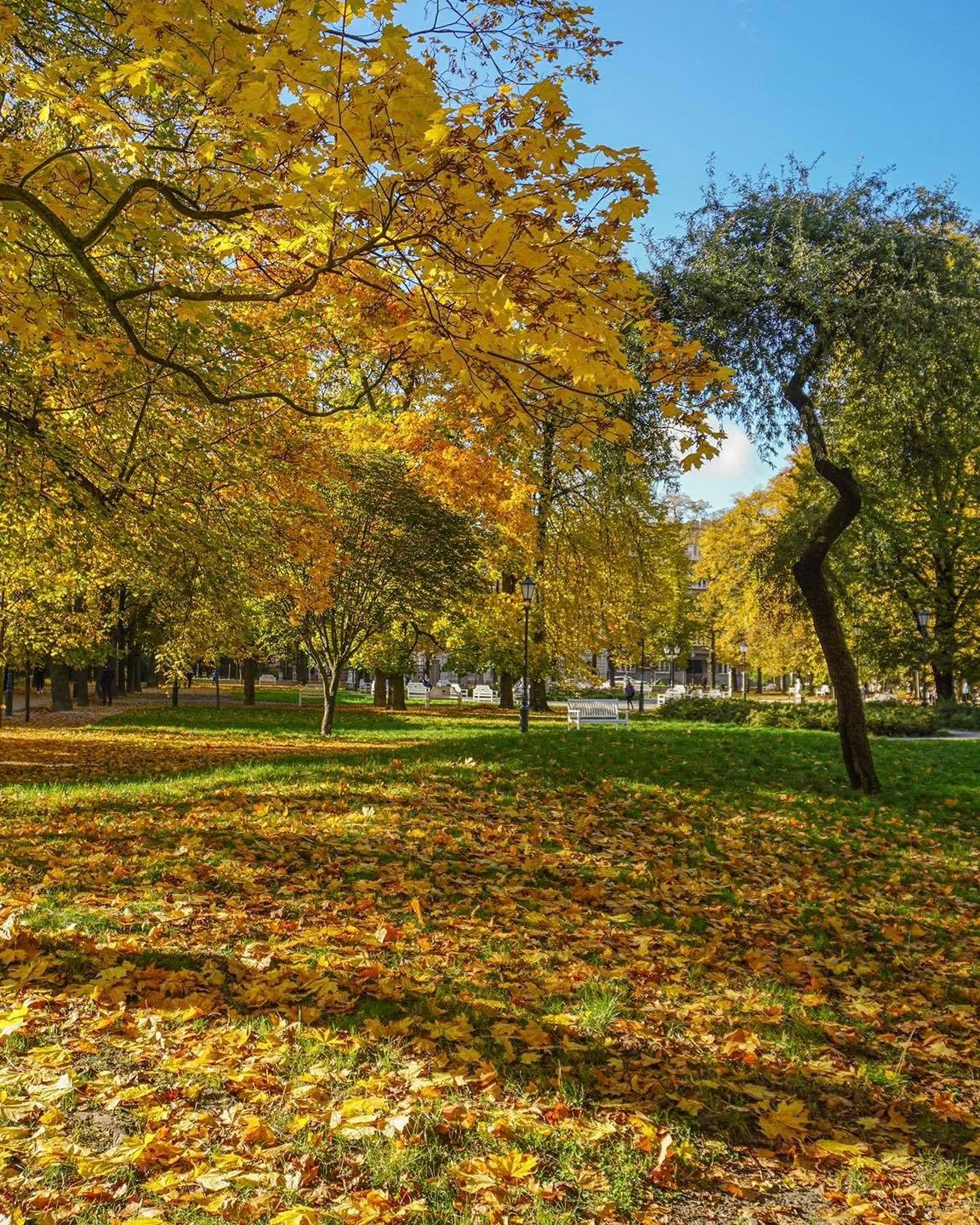 Park Sienkiewicza w Łodzi