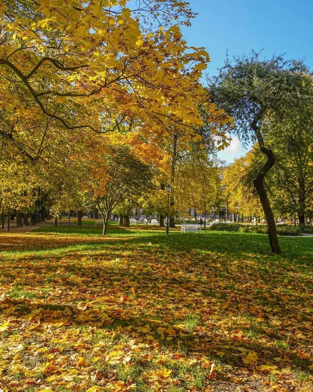 Park im. Henryka Sienkiewicza w Łodzi