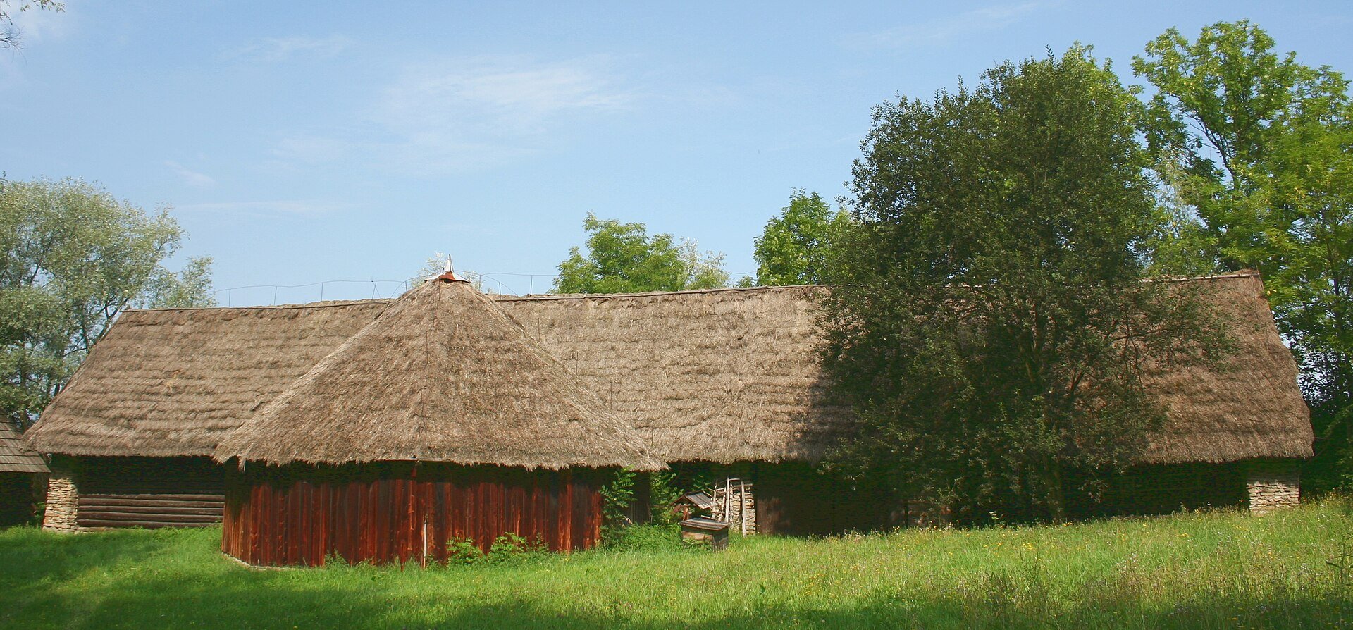Fot. Przykuta / CC BY-SA 3.0 / Wikimedia Commons