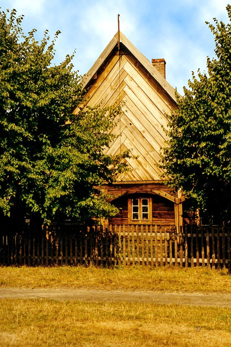 Fot. Skarabeusz / CC BY-SA 3.0 / Wikimedia Commons
