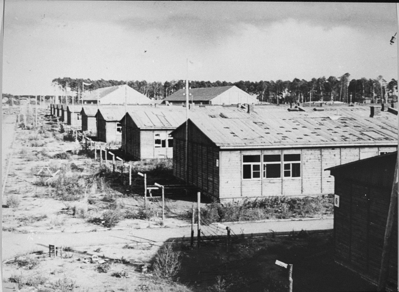 Fot. Unknown authorUnknown author / Public domain / Wikimedia Commons
