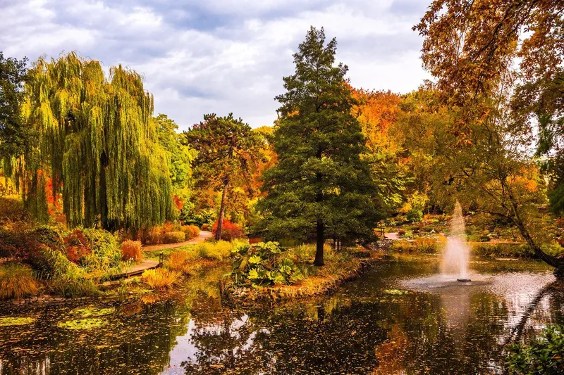 Ogród Botaniczny Uniwersytetu Wrocławskiego