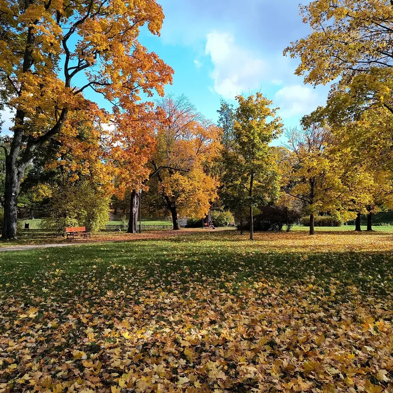 Park Helenów