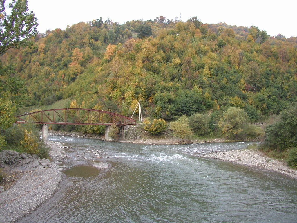 Fot. Varga Attila / Public domain / Wikimedia Commons