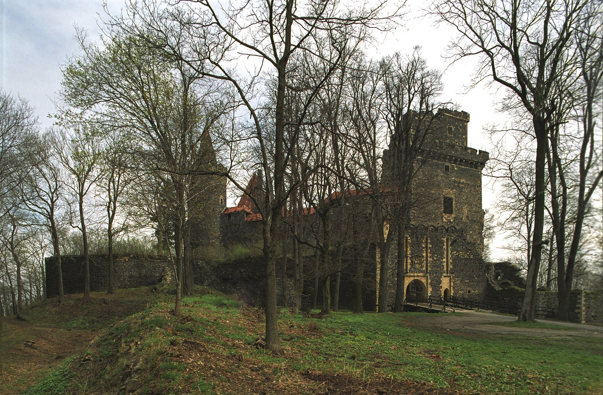 Fot. Jerzy Strzelecki / CC BY 3.0 / Wikimedia Commons