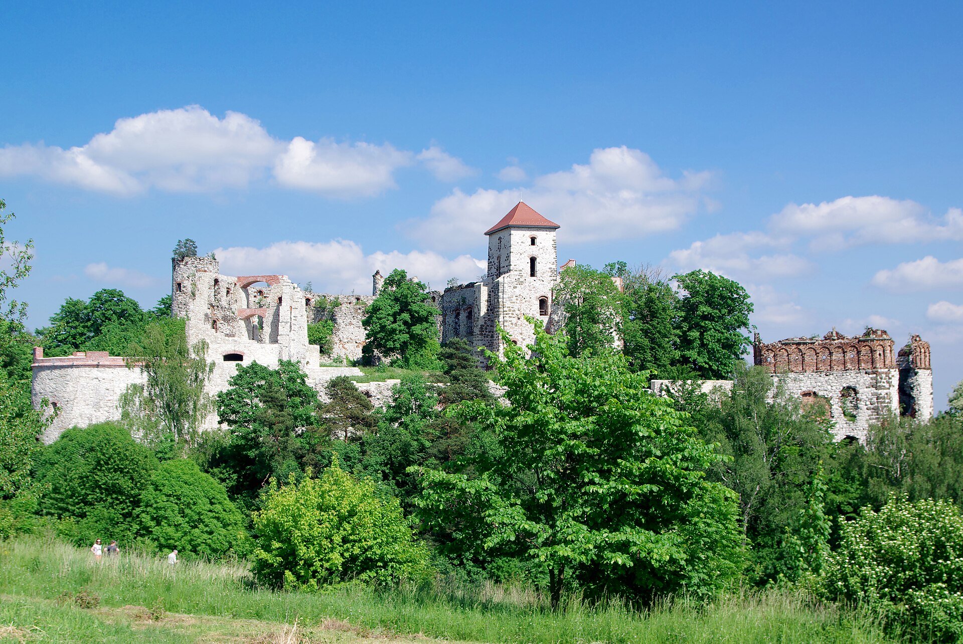 Fot. Jakub Hałun / CC BY-SA 3.0 / Wikimedia Commons