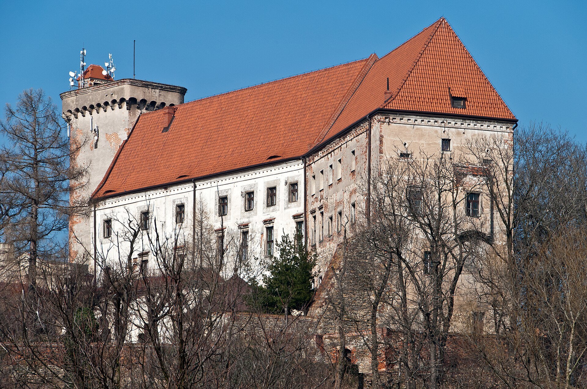 Fot. Jacek Halicki / CC BY-SA 3.0 pl / Wikimedia Commons
